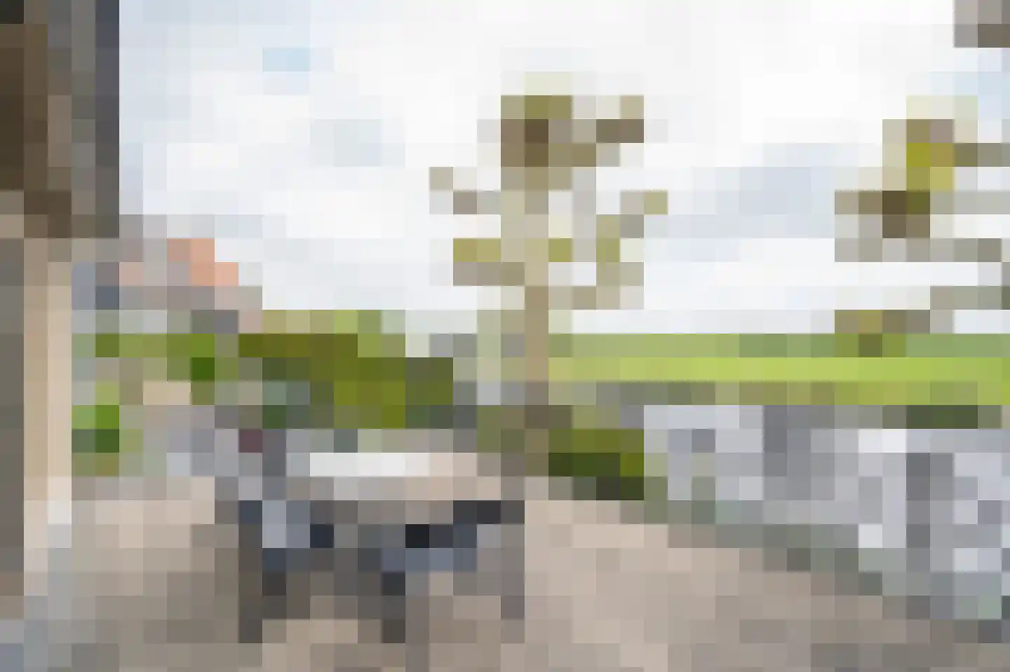 Havendijk 16 Beesd thumbnail 47