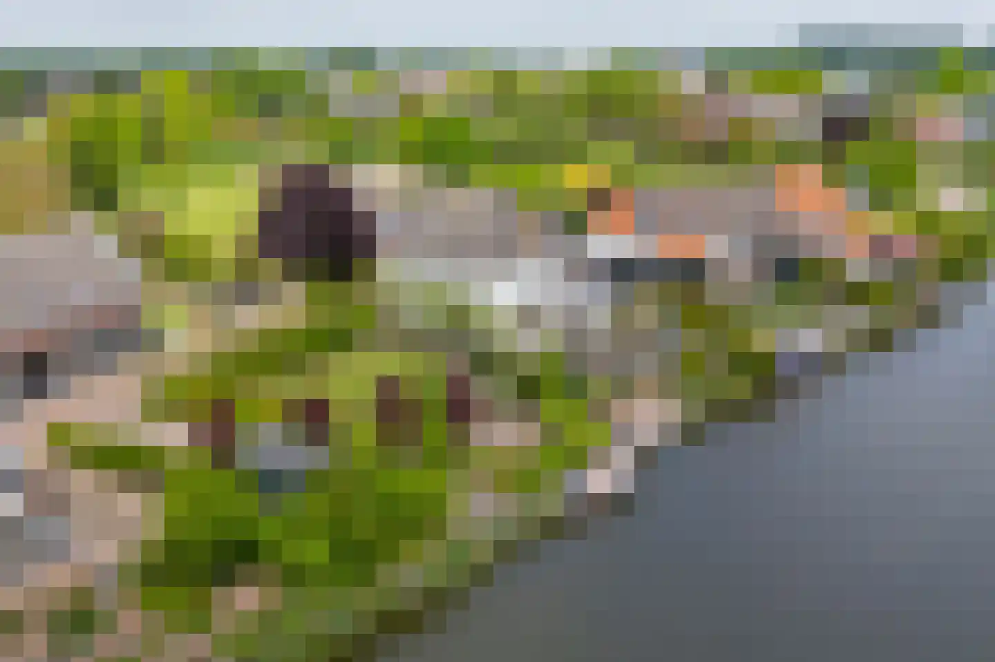 Havendijk 16 Beesd thumbnail 5