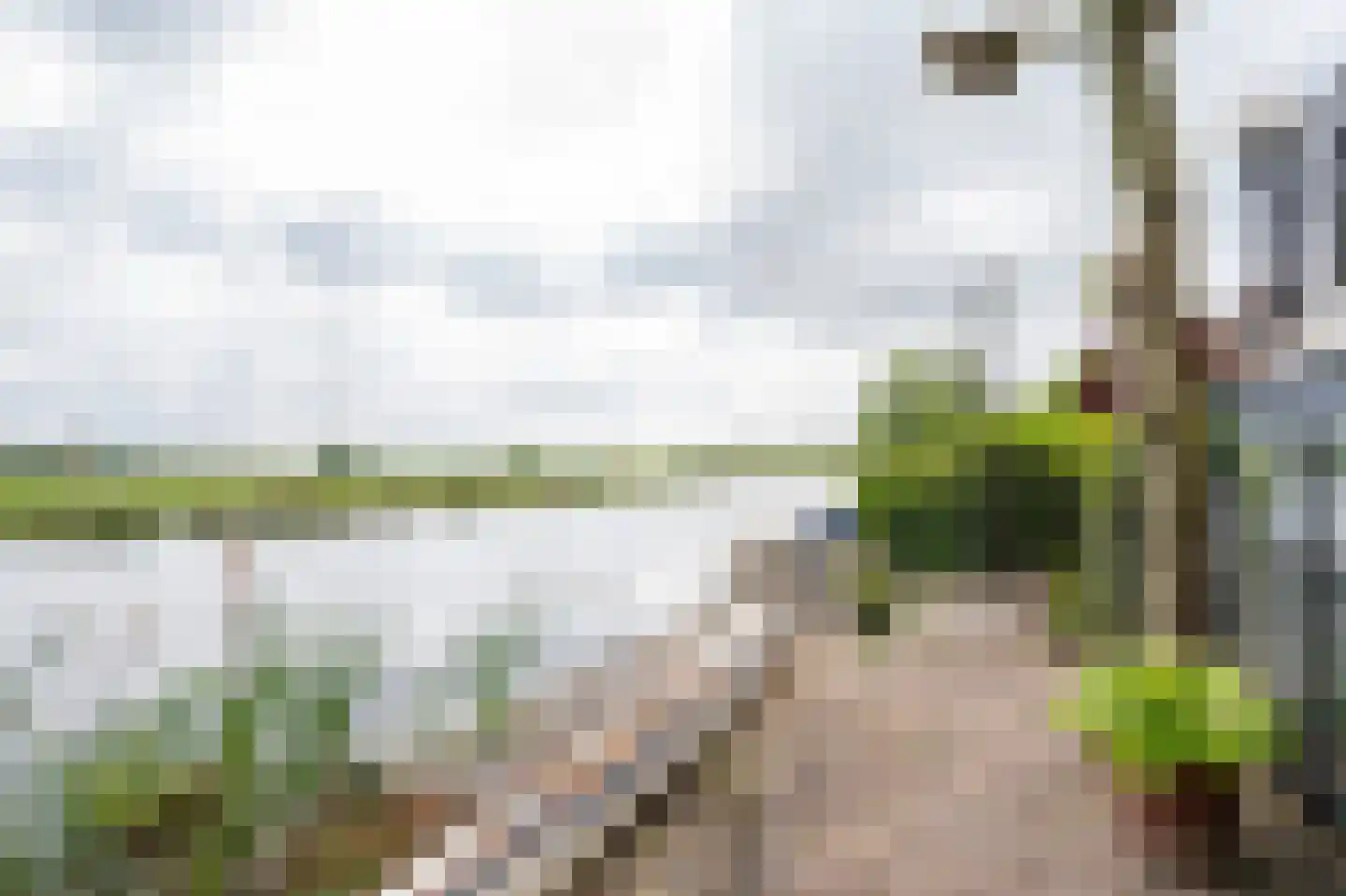 Havendijk 16 Beesd thumbnail 50