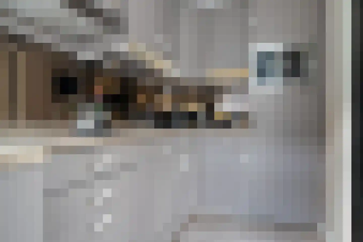 Havendijk 17 Bunschoten-Spakenburg thumbnail 4