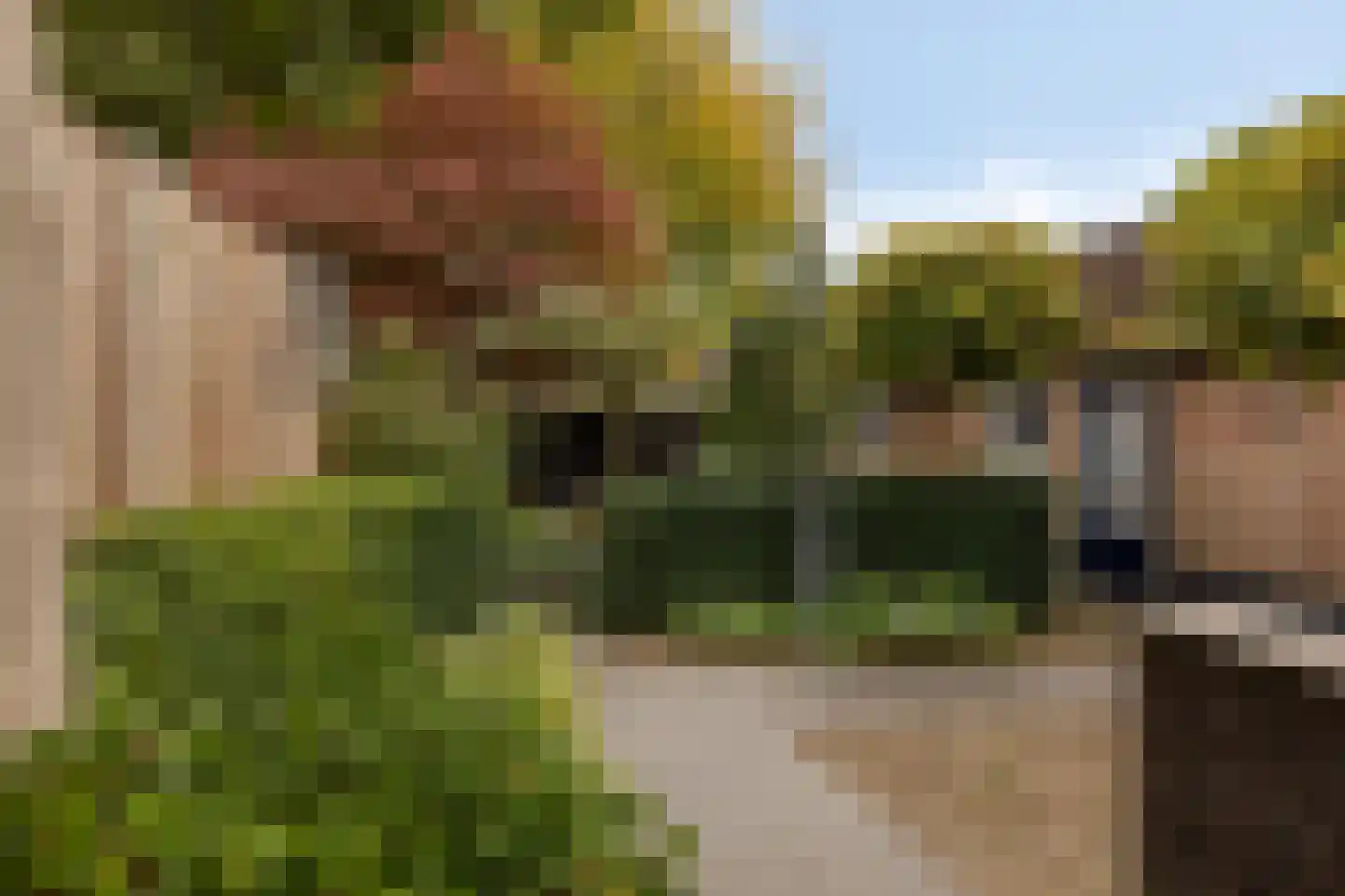 Havendijk 28 Waspik thumbnail 45