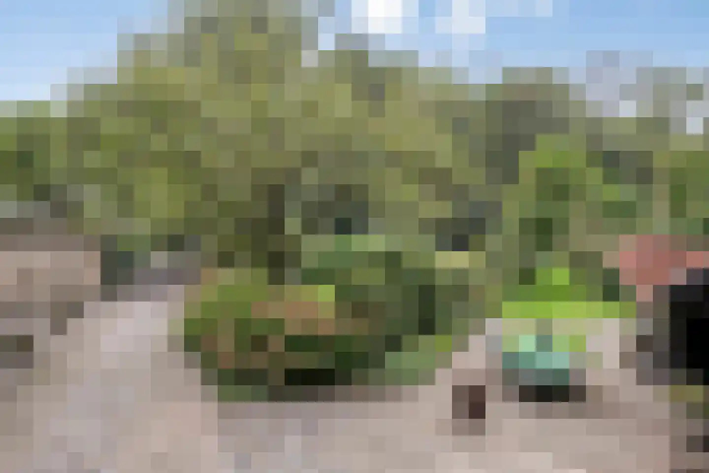 Havendijk 29 Waspik thumbnail 6