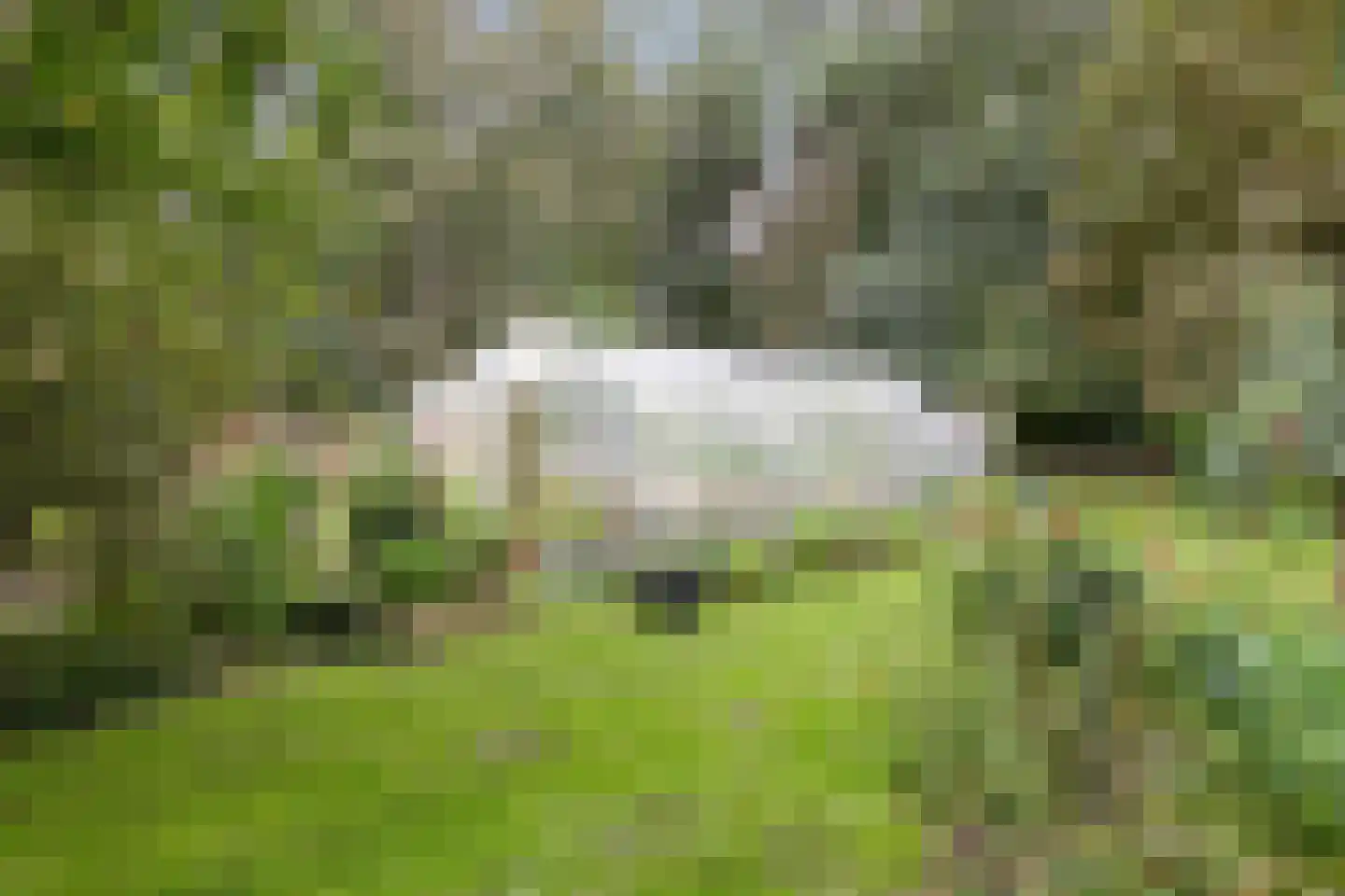 Havendijk 29 Waspik thumbnail 61
