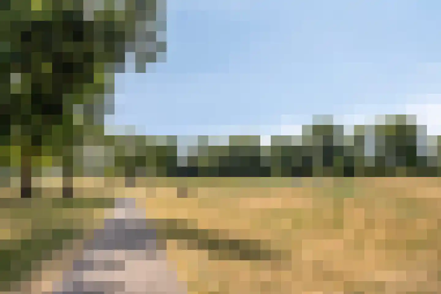 Havendijk 333 Schiedam thumbnail 22