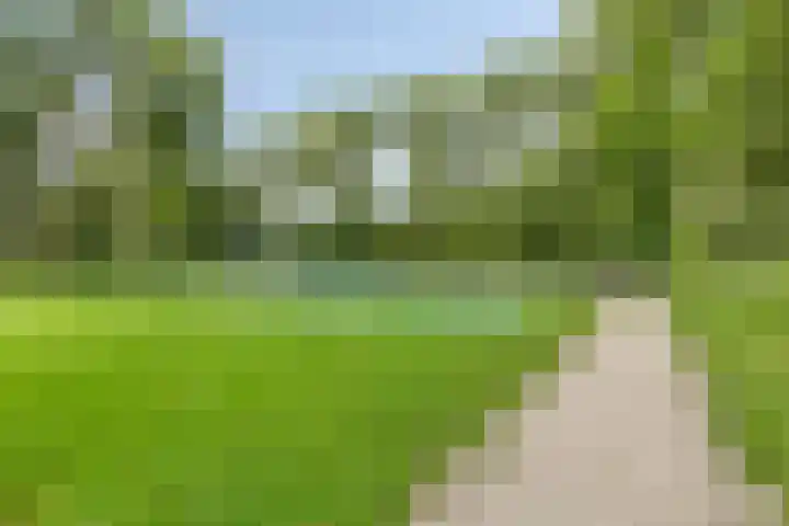 Havendijk 351 Schiedam thumbnail 32