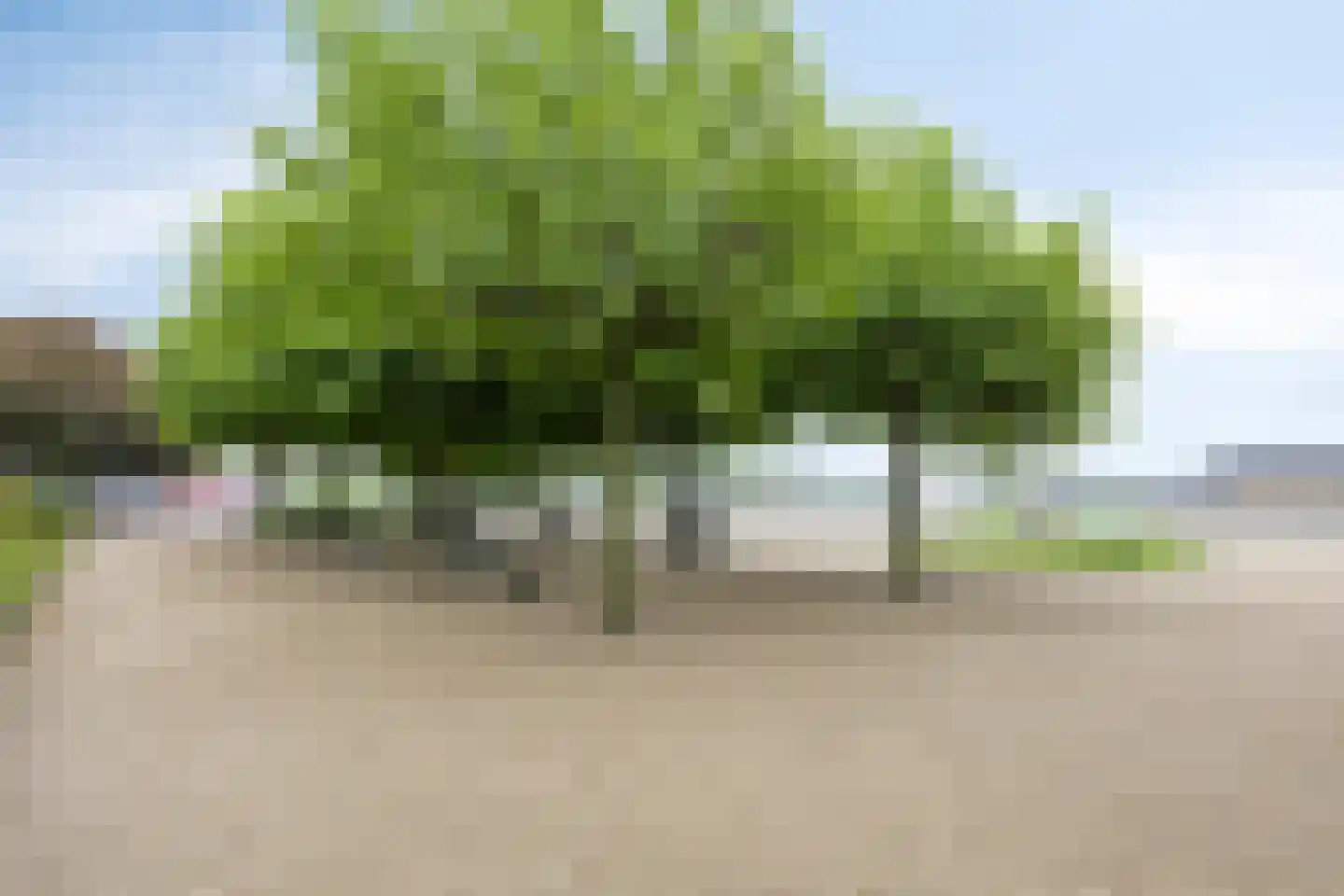 Havendijk 437 Schiedam thumbnail 31