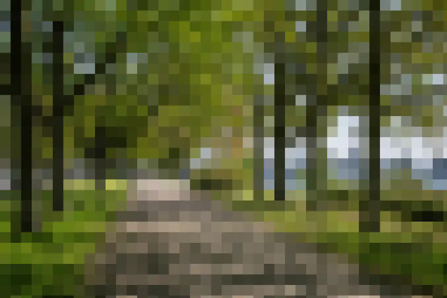Havendijk 467 Schiedam thumbnail 31