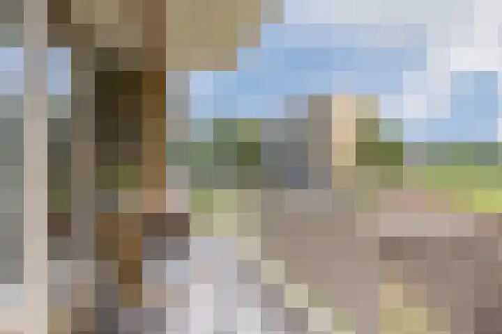 Havendijk 517 Schiedam thumbnail 8