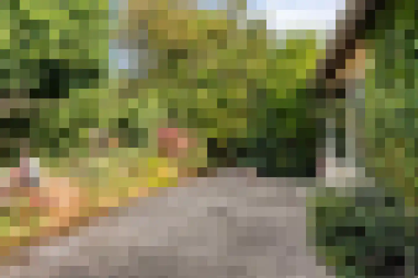 Havendijk 6 b Ooltgensplaat thumbnail 26