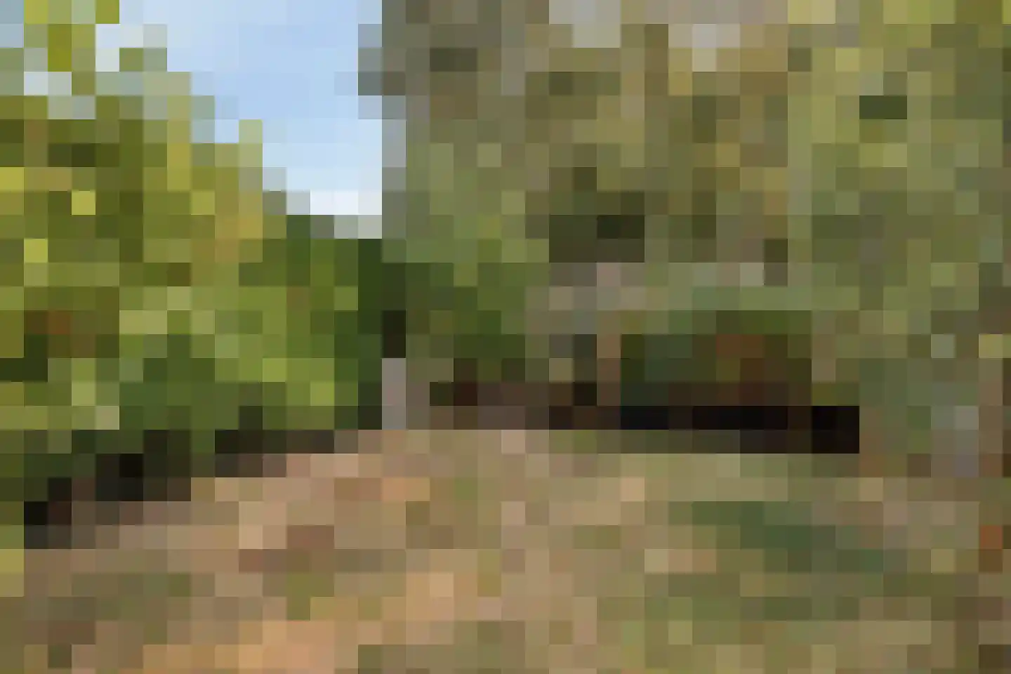 Havendijk 6 b Ooltgensplaat thumbnail 30