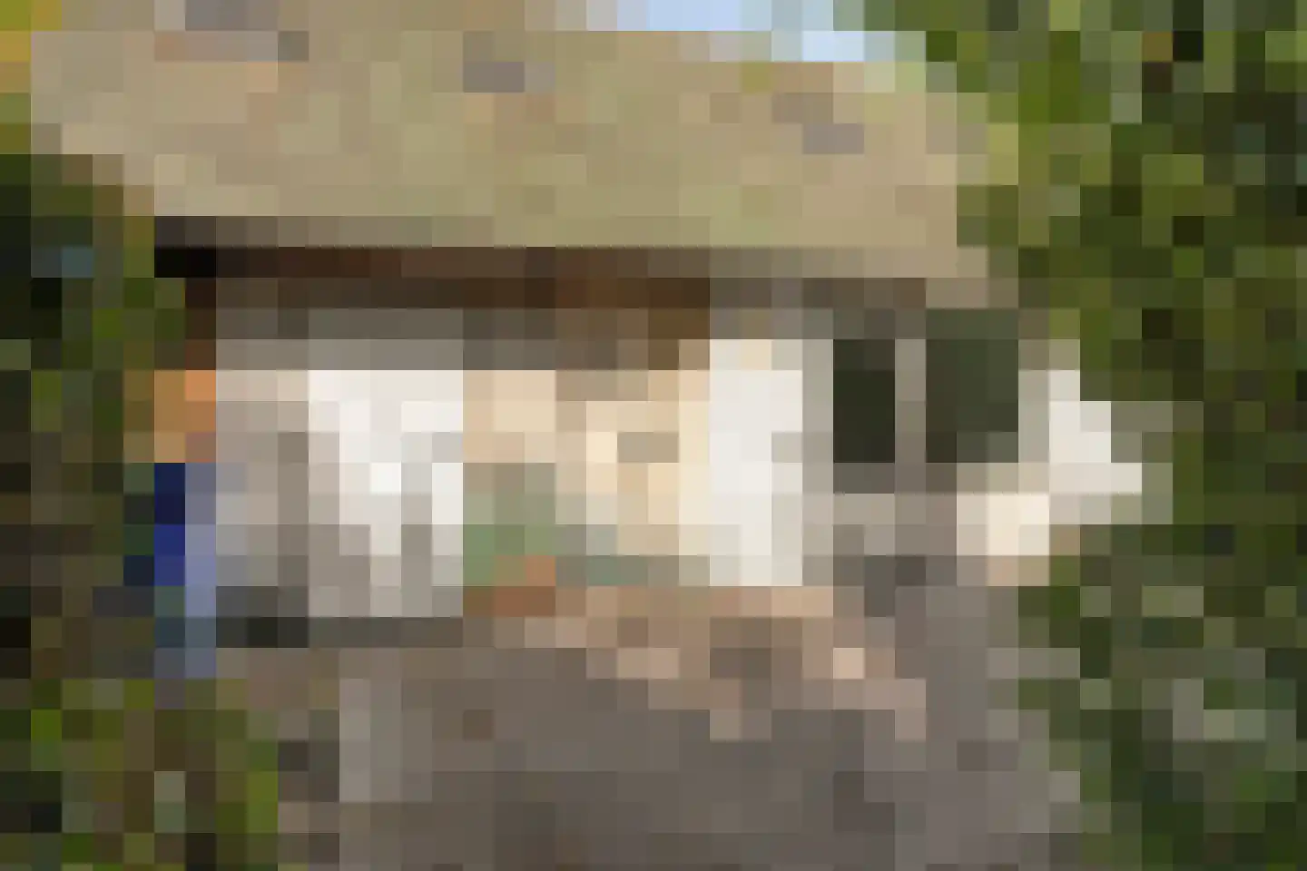 Havendijk 6 b Ooltgensplaat thumbnail 31