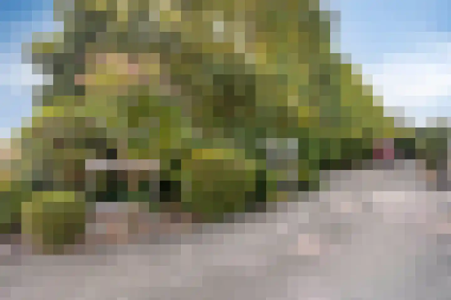 Havendijk 6 b Ooltgensplaat thumbnail 34