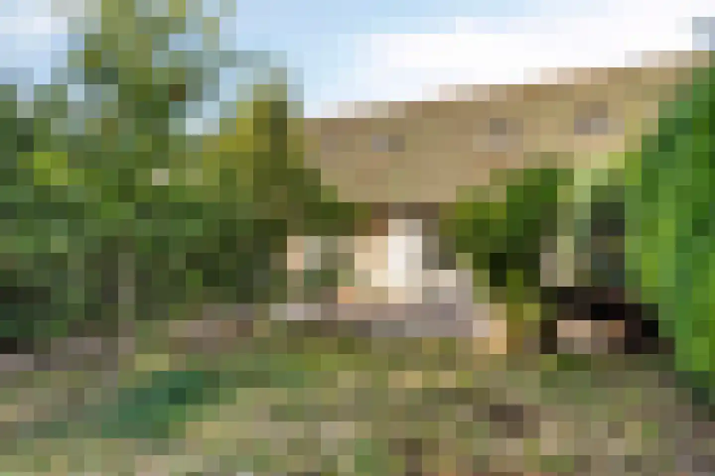 Havendijk 6 b Ooltgensplaat thumbnail 5