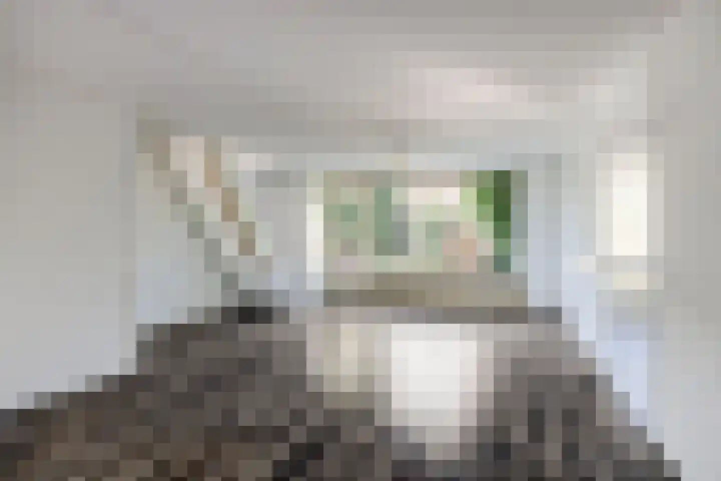 Havendijk 6 b Ooltgensplaat thumbnail 8