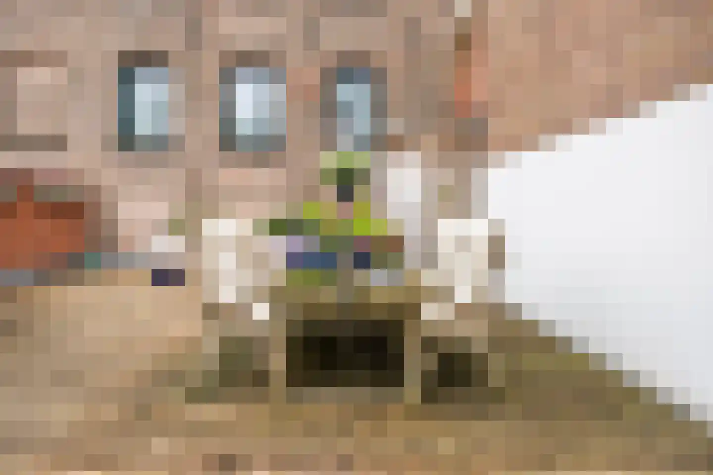 Havendijk 72 Gorinchem thumbnail 14