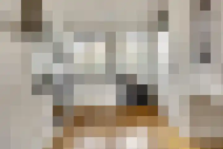 Havendijkstraat 24 Geertruidenberg thumbnail 12
