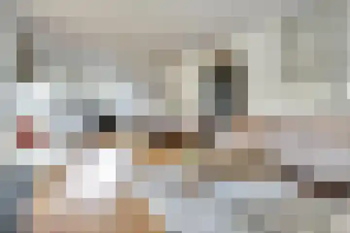 Havendijkstraat 24 Geertruidenberg thumbnail 5