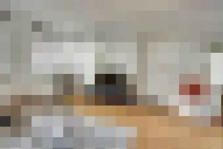 Havendijkstraat 24 Geertruidenberg thumbnail 7