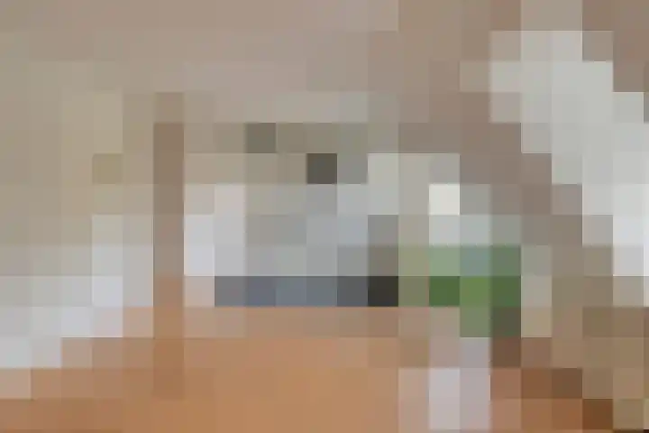 Havendijkstraat 26 Geertruidenberg thumbnail 4