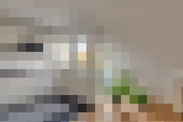 Havendijkstraat 26 Geertruidenberg thumbnail 6
