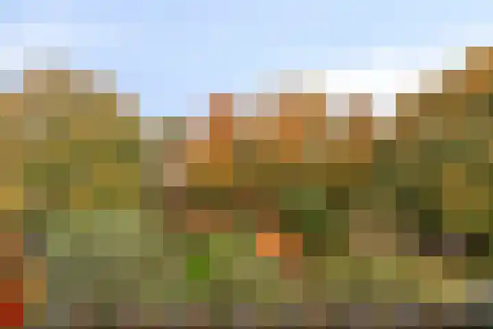Havendijkstraat 26 Geertruidenberg thumbnail 9