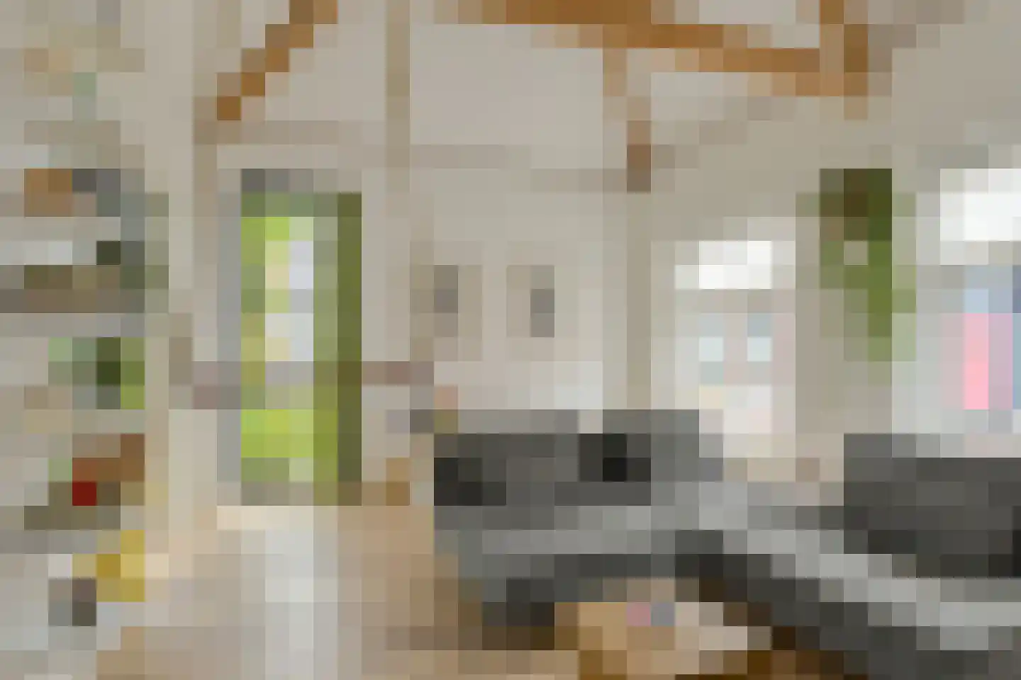 Havendijkstraat 30 Geertruidenberg thumbnail 12