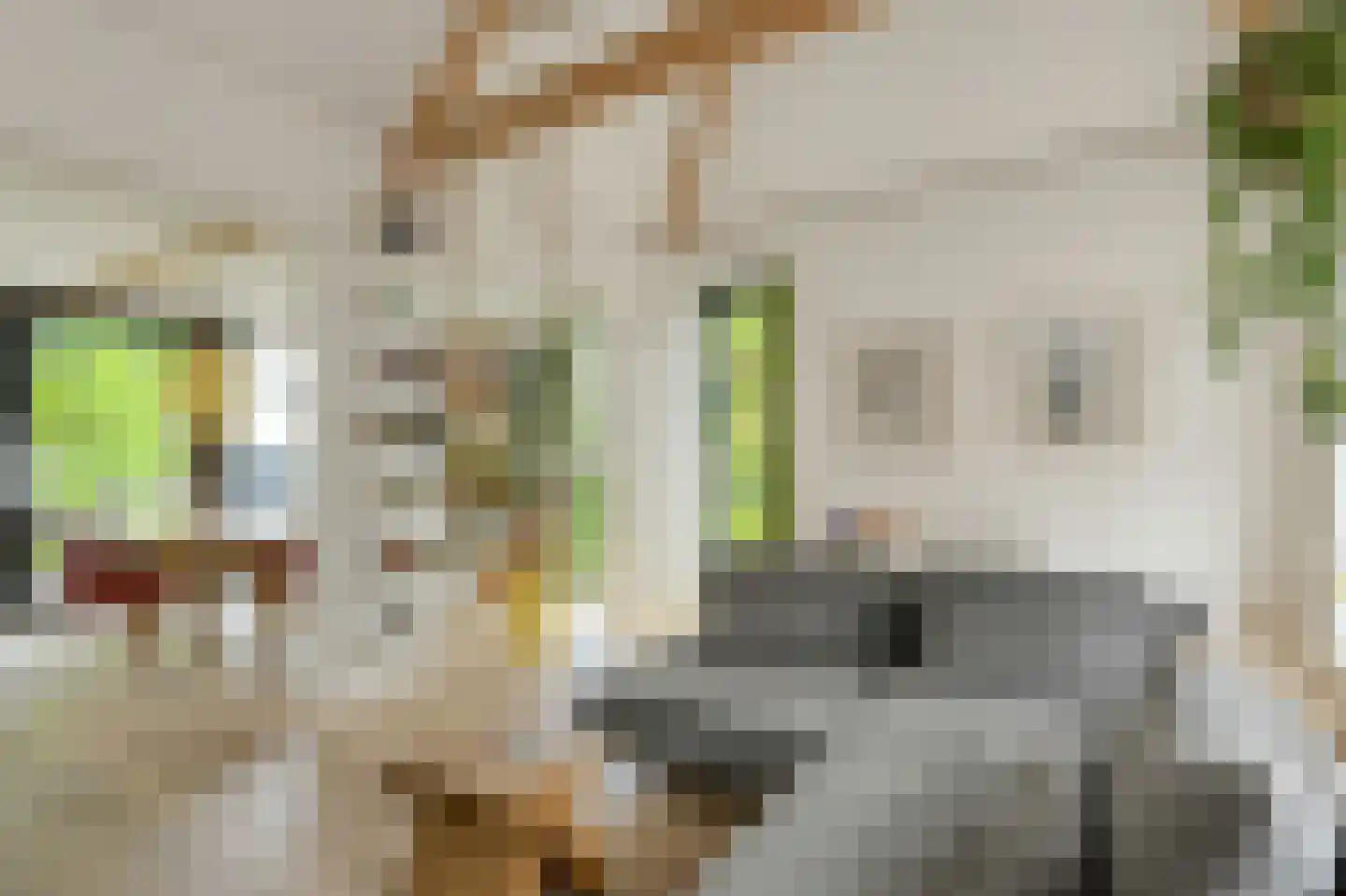 Havendijkstraat 30 Geertruidenberg thumbnail 13
