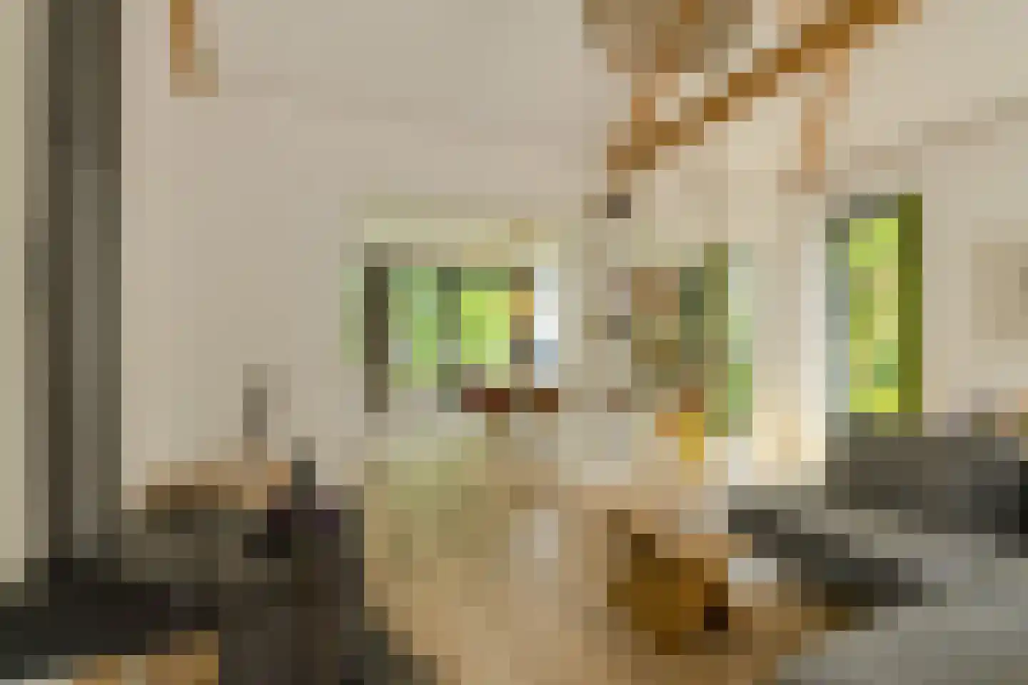 Havendijkstraat 30 Geertruidenberg thumbnail 15