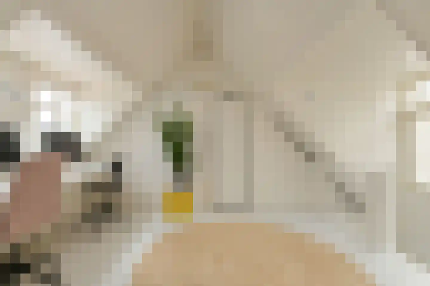 Havendijkstraat 30 Geertruidenberg thumbnail 51