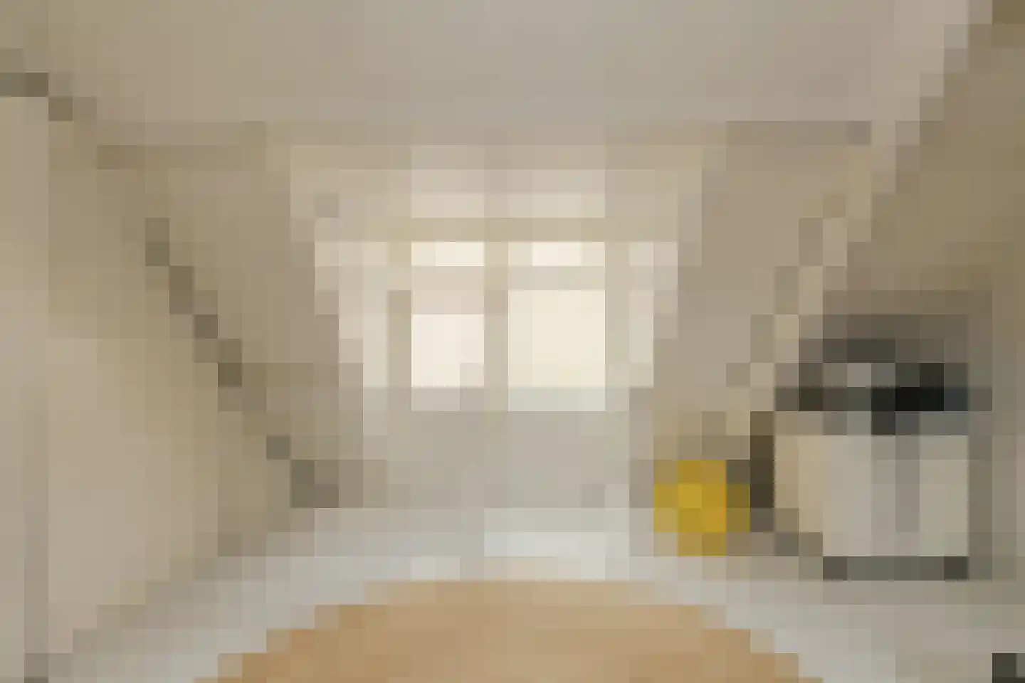 Havendijkstraat 30 Geertruidenberg thumbnail 52