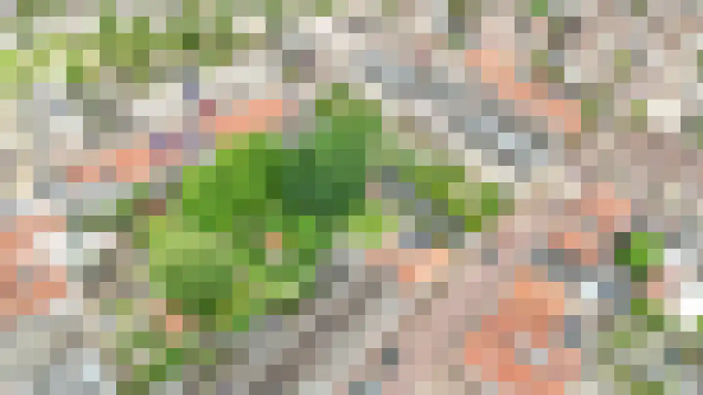 Havendijkstraat 30 Geertruidenberg thumbnail 74