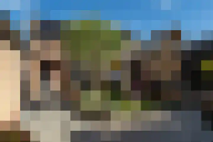 Havendries 140 Waspik thumbnail 33