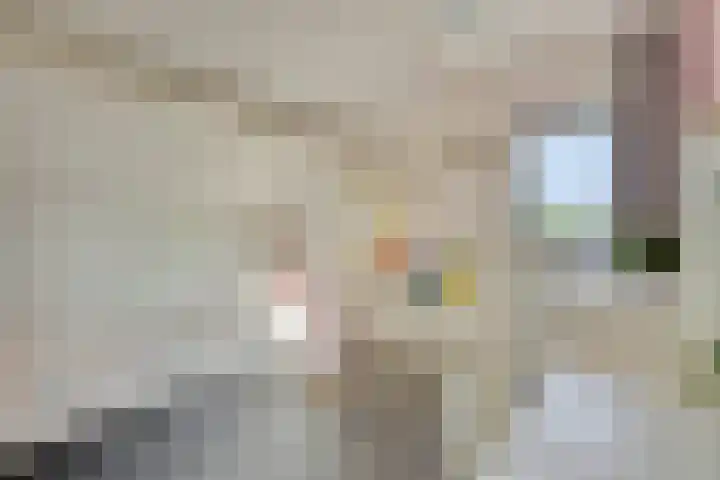 Havendries 140 Waspik thumbnail 35