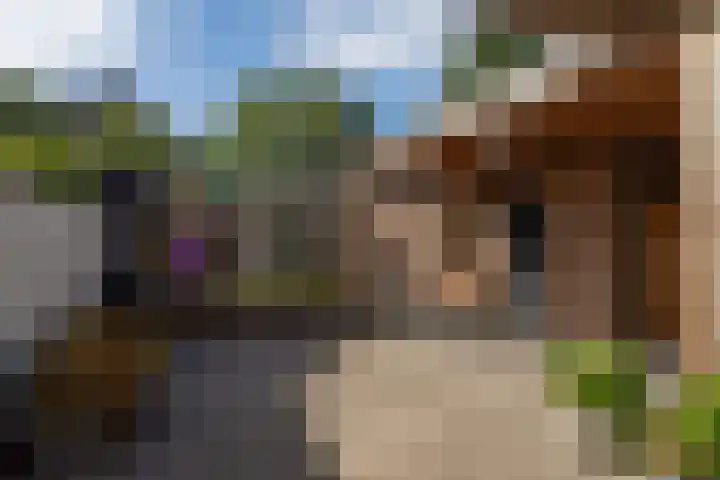 Havendries 140 Waspik thumbnail 36