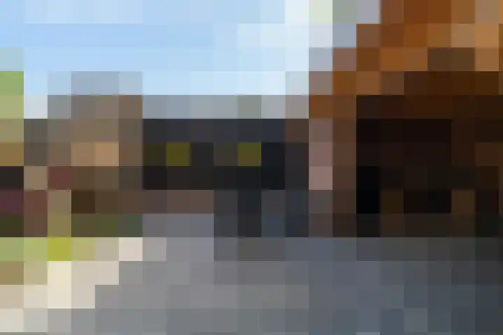 Havendries 140 Waspik thumbnail 38