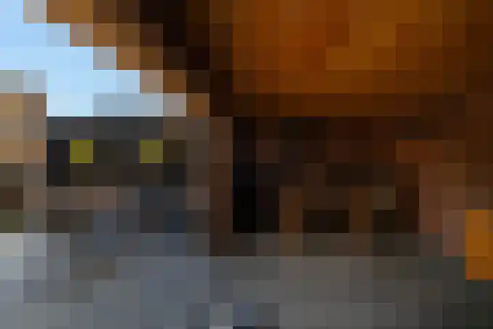 Havendries 140 Waspik thumbnail 40