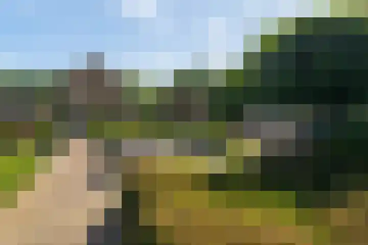 Havendries 140 Waspik thumbnail 6