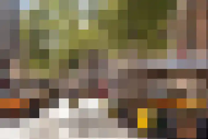 Havendries 140 Waspik thumbnail 7