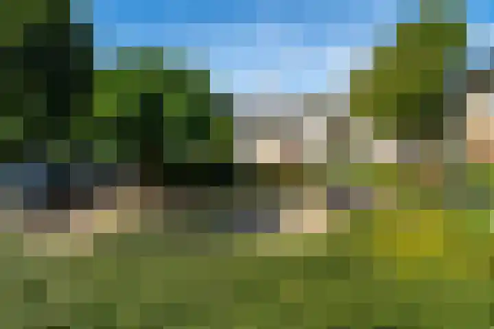 Havendries 140 Waspik thumbnail 7