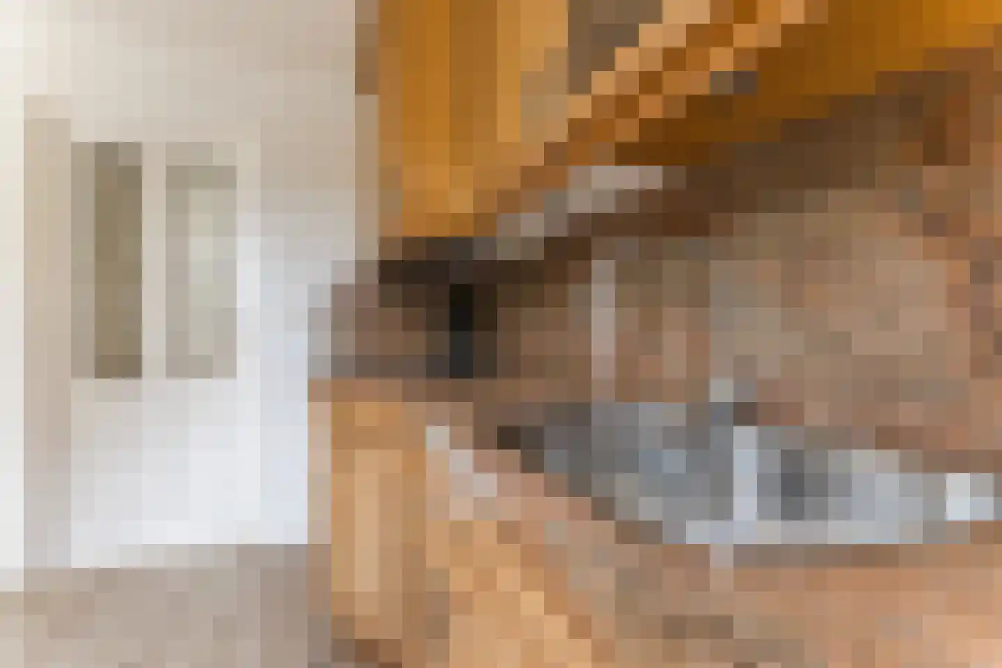 Havendries 22 Waspik thumbnail 10