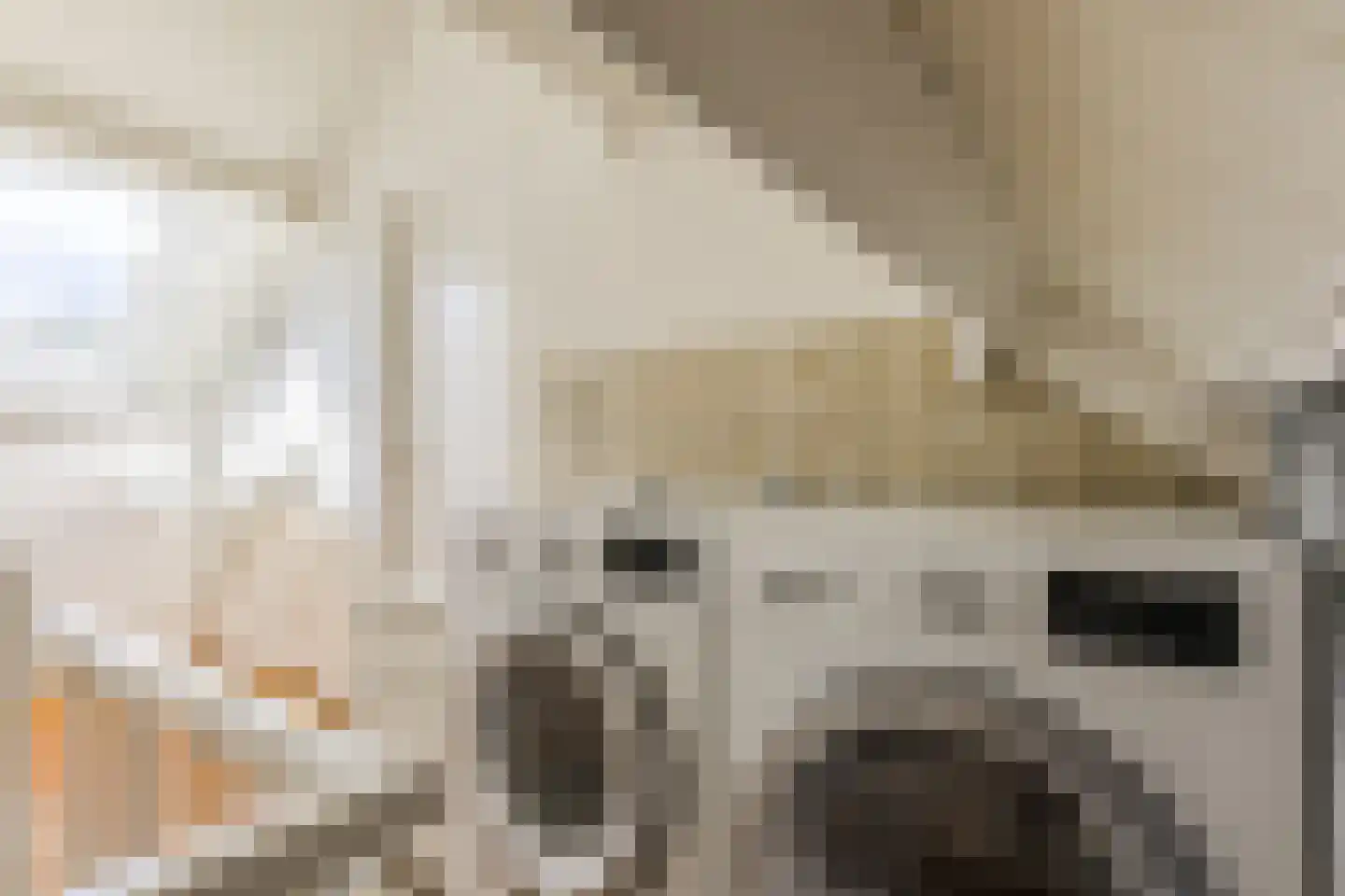 Havendries 22 Waspik thumbnail 24