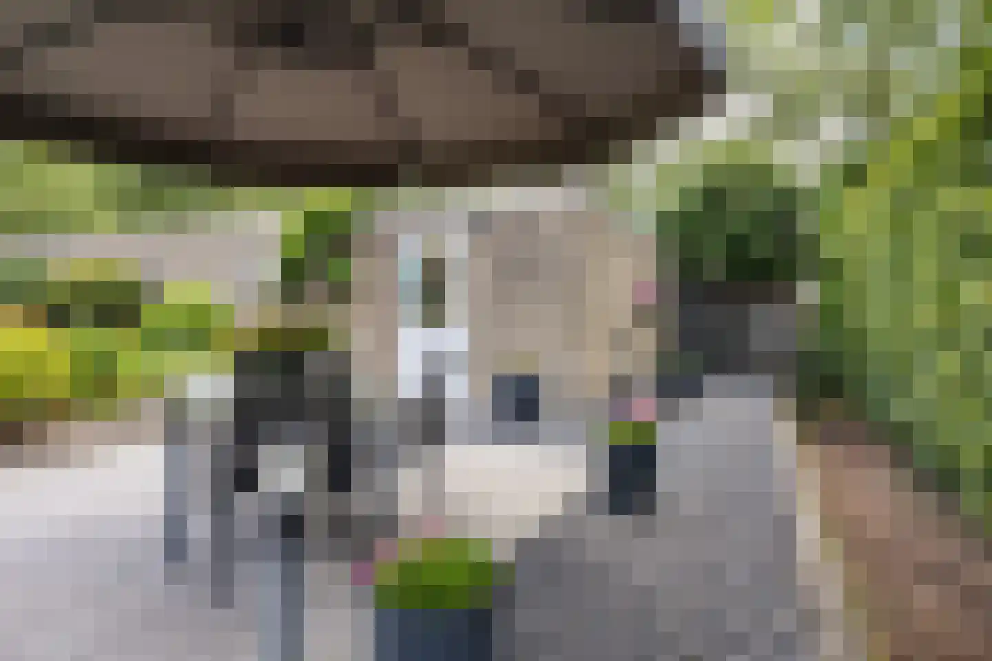 Havendries 22 Waspik thumbnail 28