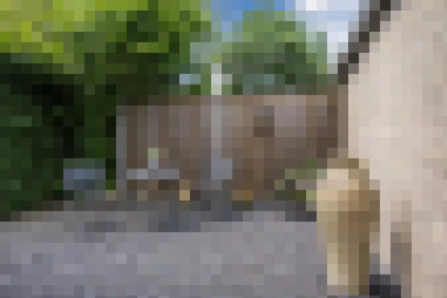 Havendries 22 Waspik thumbnail 30