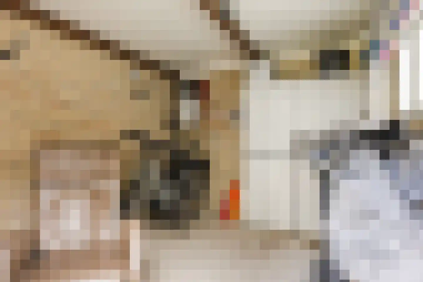Havendries 22 Waspik thumbnail 32