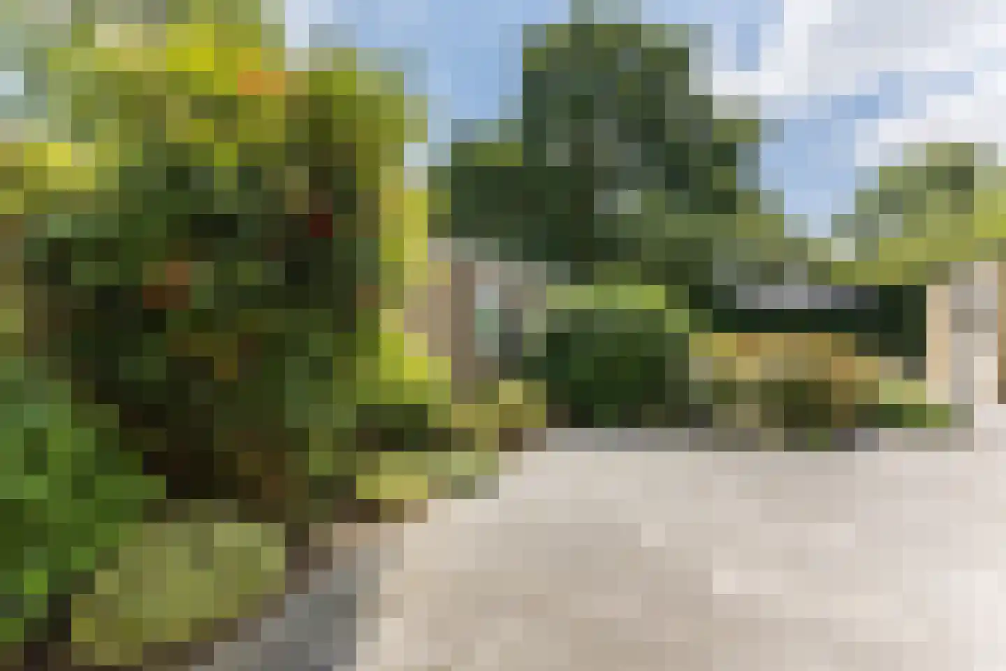 Havendries 22 Waspik thumbnail 34