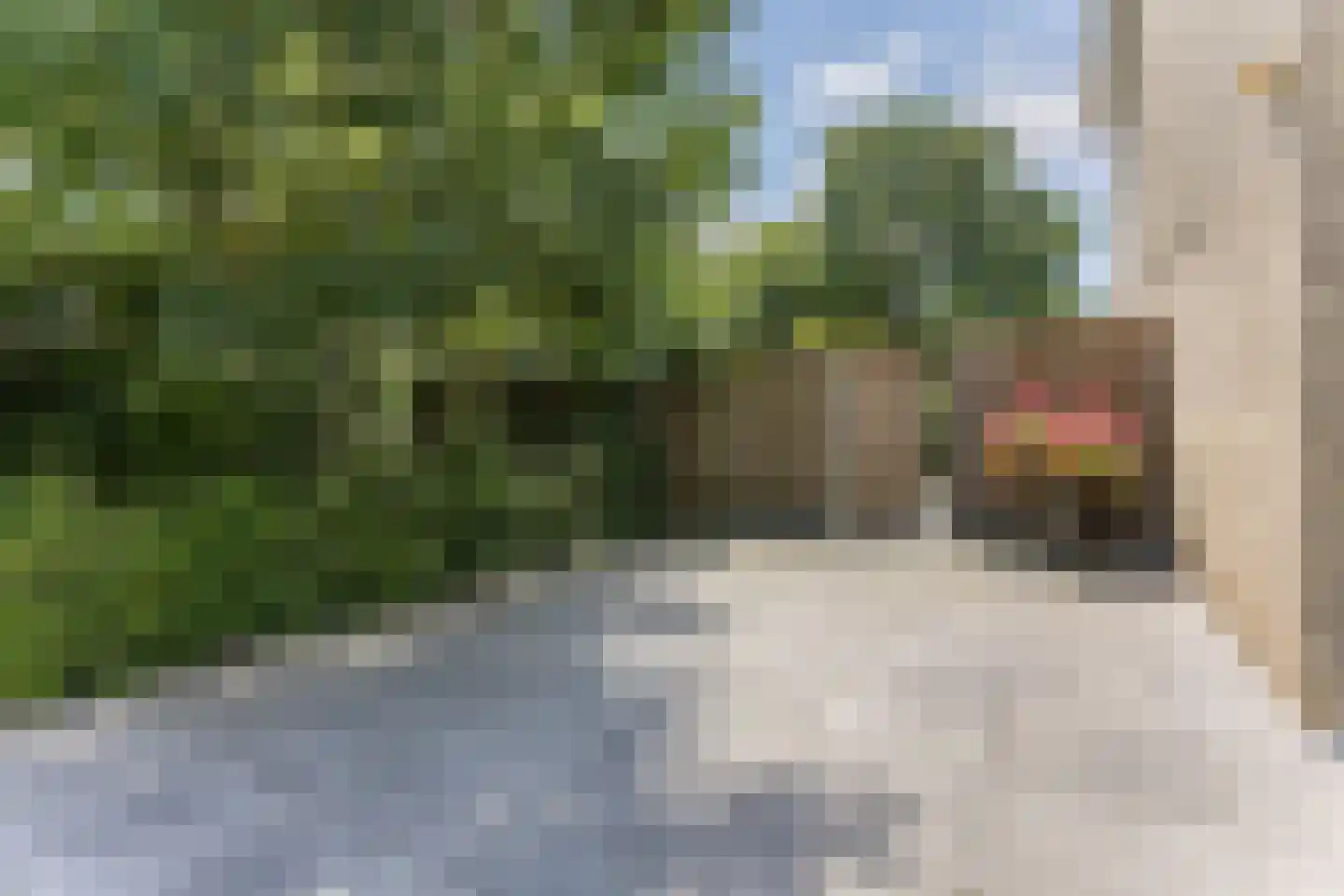 Havendries 22 Waspik thumbnail 36