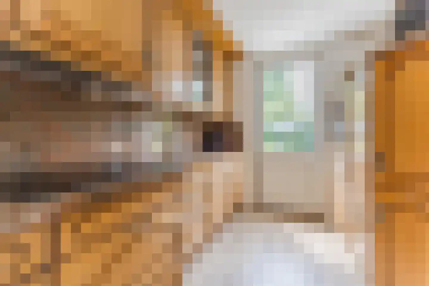 Havendries 22 Waspik thumbnail 8
