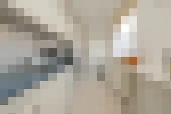 Havendwarsstraat 2 Noordwijkerhout thumbnail 10