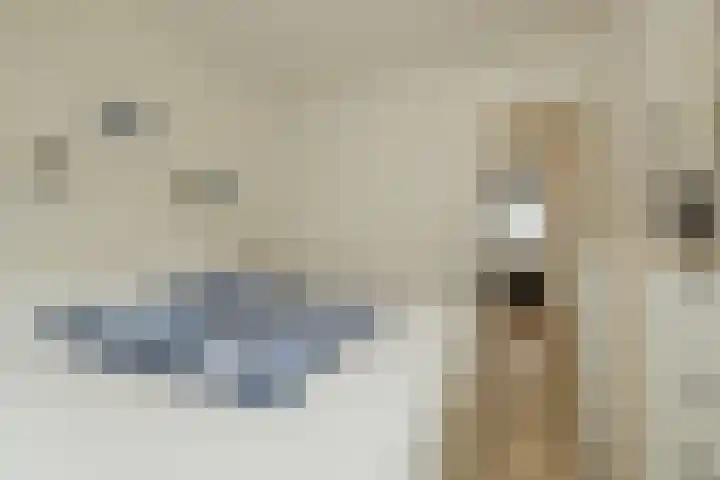 Havendwarsstraat 2 Noordwijkerhout thumbnail 20