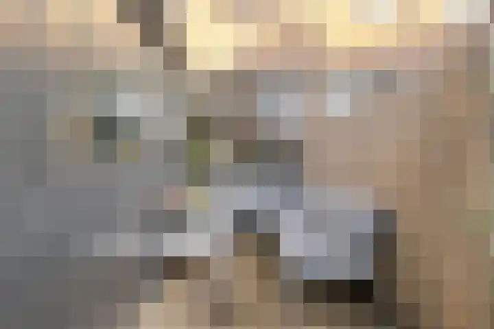 Havendwarsstraat 4 Noordwijkerhout thumbnail 29